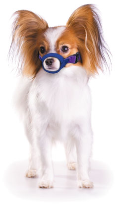 Color coded Quick Muzzle for Dogs XS