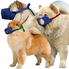 Color-coded Short-Snouted/Chow Quick Muzzle-Set