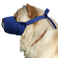 Short-Snouted/Chow Quick Muzzle? for Dogs, Large, Blue