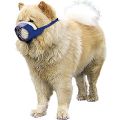 Short-Snouted/Chow Cozy Quick Muzzle? for Dogs, Medium, Blue