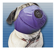 Pug-Nosed Quick Muzzle®