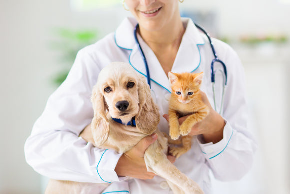 Veterinary Supplies - Old