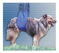 Sacks, Lifts & Stretchers
