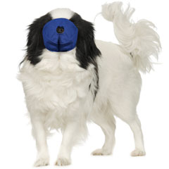 Pug-Nosed Quick Muzzle® Small Blue