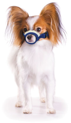 Cozy Quick Muzzle? for Dogs, XS, Blue