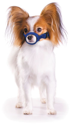 Quick Muzzle? for Dogs, XS, Blue