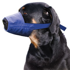 Quick Muzzle? for Dogs, XXL, Blue