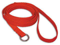 48" Web Slip Leash