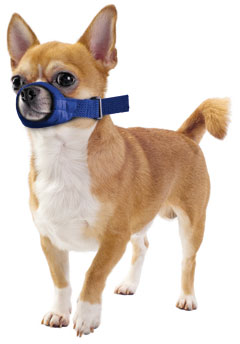 Quick Muzzle? for Dogs, XXS, Blue
