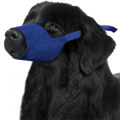 Quick Muzzle? for Dogs, XXXL, Bulk Pkg (in 10s)