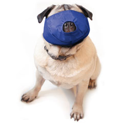 Pug-Nosed Quick Muzzle® Large Blue