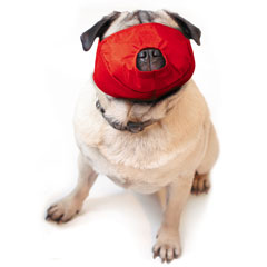 Pug-Nosed Quick Muzzle?, Large, Red