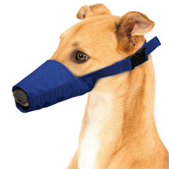 Long-Snouted Quick Muzzle? for Dogs, Medium, Blue, Bulk Pkg (in 10s)