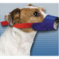 Color-Coded Quick Muzzle®