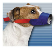 Color-Coded Quick Muzzle®