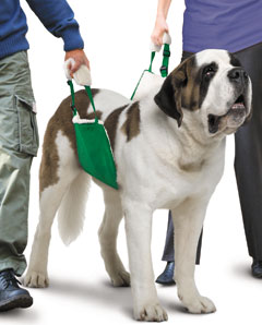 Original Quick Lifts™(no Fleece)