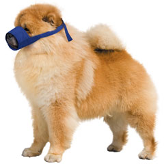 Chow/Short-Snouted Quick Muzzle®