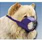 Chow/Short-Snouted Quick Muzzle®