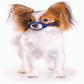 Color-Coded Quick Muzzle®