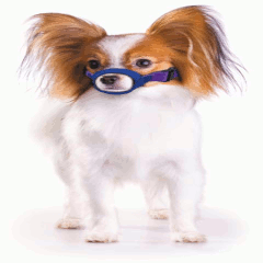 Quick Muzzle® For Average-Snouted Breeds