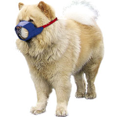 Chow/Short-Snouted Quick Muzzle®