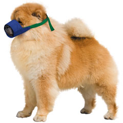 Chow/Short-Snouted Quick Muzzle®